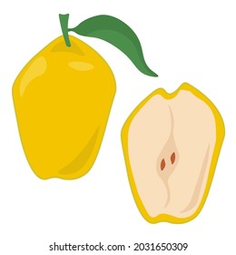 Quince fruit whole and half, juicy yellow fruit of an elongated shape with a green leaf vector illustration