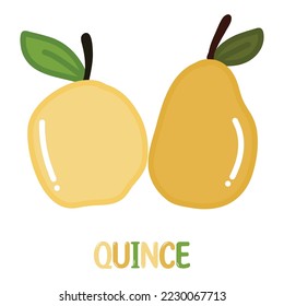 Quince. Hand drawn flat shiny fruits cartoon vector illustration with cute glossy letters isolated on white background.