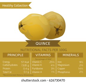 Quince health benefits. Vector illustration with useful nutritional facts. Essential vitamins and minerals in healthy food. Medical, healthcare and dietory concept.