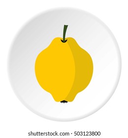 Quince icon. Flat illustration of quince vector icon for web