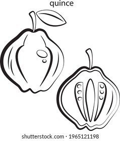 quince, Illustration of a printed English alphabet card with the names fruits 