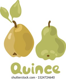 Quince with leaves icon. Vector illustration of quince in hand-drawn doodle style for decorative poster, emblem natural product, farmers market. Website page and mobile app design