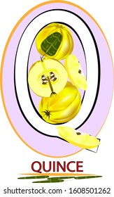 
quince with leaves
letter Q half and quarter