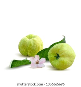 Quince low poly. Bloom of quince. Fresh, nutritious, tasty quince. Delicious and healthy dessert. Elements for label design. Vector illustration. Fruits ingredients in triangulation technique.
