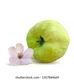 Quince low poly. Bloom of quince. Fresh, nutritious, tasty quince. Delicious and healthy dessert. Elements for label design. Vector illustration. Fruits ingredients in triangulation technique.