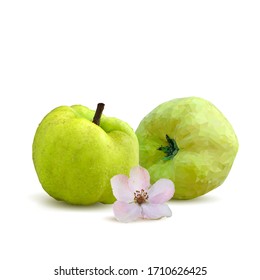 Quince low poly. Bloom of quince. Fresh, nutritious, tasty quince. Delicious and healthy dessert. Elements for label design. Vector illustration. Fruits ingredients in triangulation technique.