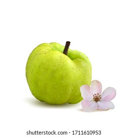 Quince low poly. Bloom of quince. Fresh, nutritious, tasty quince. Delicious and healthy dessert. Elements for label design. Vector illustration. Fruits ingredients in triangulation technique.