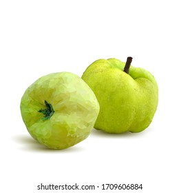 Quince low poly. Fresh, nutritious and tasty quince. Symbols of fruits. Elements for label design. Quince in triangulation technique.
