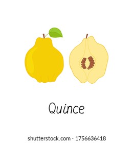 Quince on white background. Hand drawn poster. Stock vector illustration.