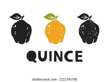 Quince, silhouette icons set with lettering. Imitation of stamp, print with scuffs. Simple black shape and color vector illustration. Hand drawn isolated elements on white background