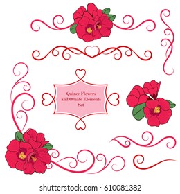 Quince spring blossom bright flowers with decorative ornate elements design set. Ornate frames and borders on the white background.  