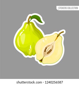 Quince sticker isolated on white background. Bright vector illustration of colorful half and whole of juicy quince. Fresh cartoon