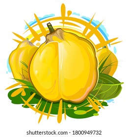 Quince. Summer yellow fruit. Sun rays and juice splashes. Garden agriculture plant. Autumn southern harvest. Vector illustration isolated on white background.