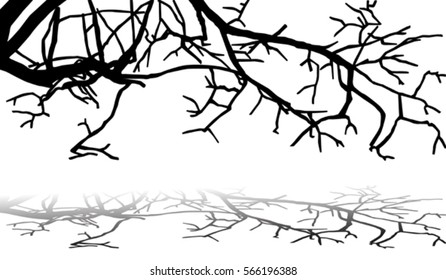 Quince tree branches silhouette isolated on white