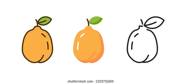 Icono plano del vector Quince. Diseño de alimentos para ilustraciones de frutas de Quince