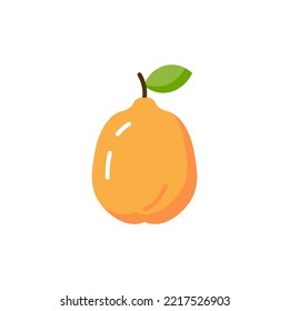 Quince vector flat icon. Quince fruit illustration food design