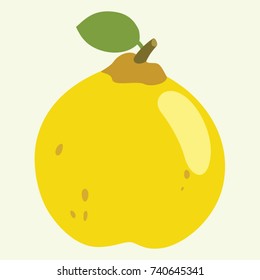 Quince Vector Illustration