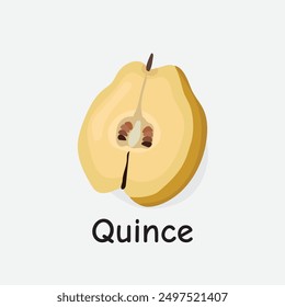 Quince Vector Illustration: Aromatic and Tart Fruit