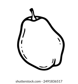 quince vector illustration. outline drawing of fruit isolated on white background