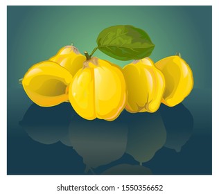 Quince. Vector.  Set. Leaf. Still life. Sweet southern fruit. Orange yellow. Boring and ripe. Tart.
Vector illustration. Isolated object. Transparent background.