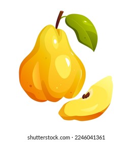 Quince whole fruit and half. Vector illustration  in cartoon style. Isolated on a white background. Organic fresh healthy food. Farm fruit. 