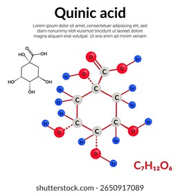 Quinic acid, organic compound, molecular structure formula, ball-and-stick model, suitable for education or chemistry science content. Vector illustration