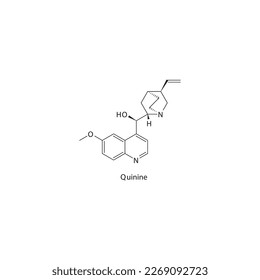 Quinine flat skeletal molecular structure Antiparasitic drug used in malaria treatment. Vector illustration.
