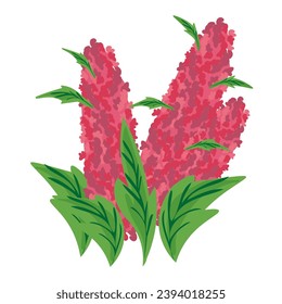flor de quinua en vector.planta en estilo semirealista.objetos para el diseño del sitio web de aplicación folleto folleto etiqueta pegatina de empaque publicitario.
