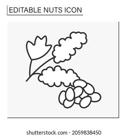  Quinoa line icon. Roasted and salted tasty snack. Healthy food. Balanced nutrition. Nuts concept. Isolated vector illustration. Editable stroke