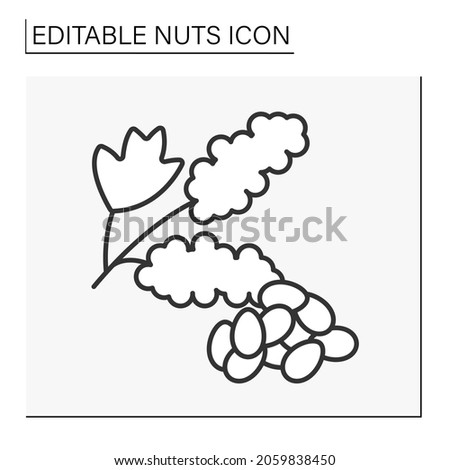  Quinoa line icon. Roasted and salted tasty snack. Healthy food. Balanced nutrition. Nuts concept. Isolated vector illustration. Editable stroke