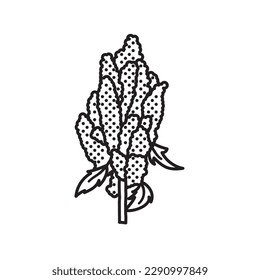Quinoa plant vector line icon for Quinoa Day on January 16