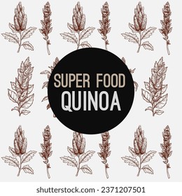 receta de quinua para quinua como cocinar quinua