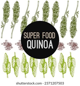 quinoa recipe for quinoa how to cook quinoa