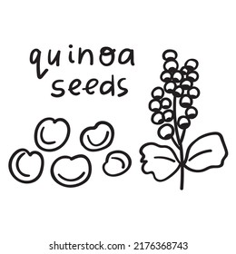 Quinoa Seeds. Vector Outline Illustration On White Background.