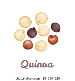 Quinoa Tricolor grains isolated on  white background. Gluten free grain vector illustration in cartoon simple flat style. Superfood, healthy organic food.