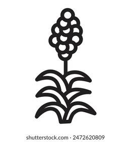 Diseño de iconos de línea de Vector de quinoa