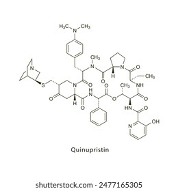 Quinupristin flat skeletal molecular structure Streptogramin antibiotic drug used in bacterial infection treatment. Vector illustration scientific diagram.