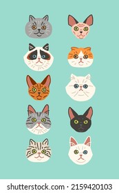 Una peculiar y linda ilustración vectorial de diferentes razas de gatos