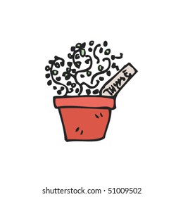 quirky drawing of potted thyme