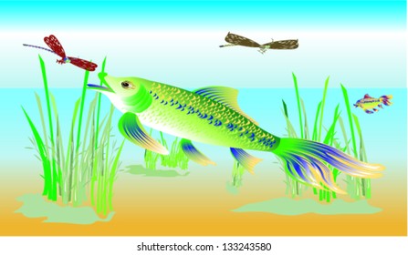 Quirky Fish chasing dragon flies