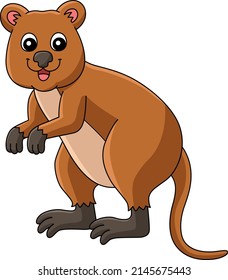 Quokka Animal Cartoon Colored Clipart Illustration