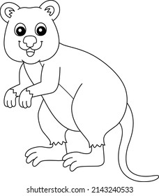 Quokka Animal Coloring Page Isolated for Kids