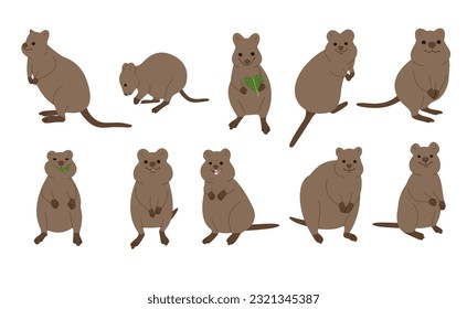 Quokka-Sammlung 1 niedlich auf weißem Hintergrund, Vektorgrafik. 