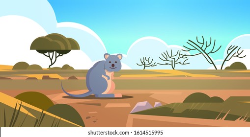 Quokka Enjoying The Sun In Australia Desert Australian Wild Animal Wildlife Fauna Concept Landscape Background Horizontal Vector Illustration