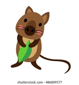 Quokka holding leaf animal cartoon character isolated on white background.