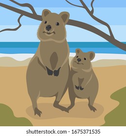 Quokka mom with a baby stand on ocean shore, cute australian animal realistic flat vector illustration.