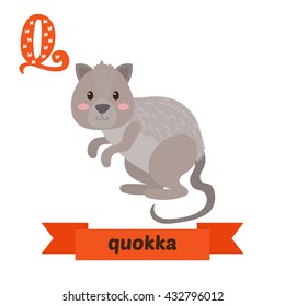 Quokka. Q letter. Cute children animal alphabet in vector. Funny cartoon animals. Vector illustration