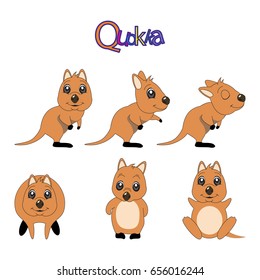 quokka set cute animal australia. vector illustration. Cute cartoon