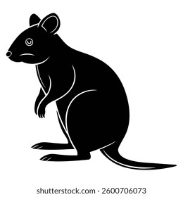 Quokka silhouettes and icons. Black flat color Quokka animal vector and illustration.