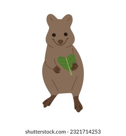 quokka single 3 cute on white background, vector illustration. 